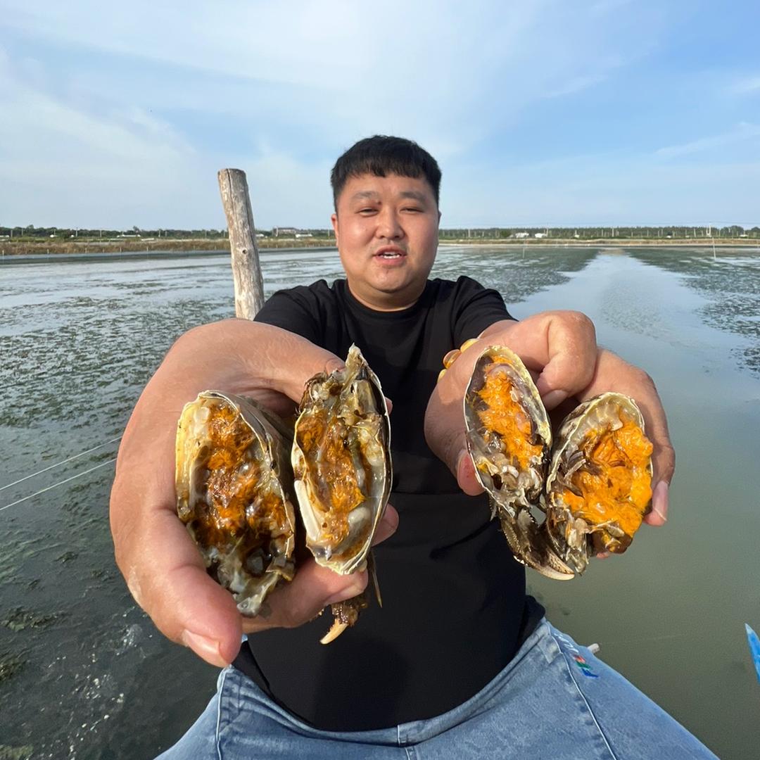 豆豆.
