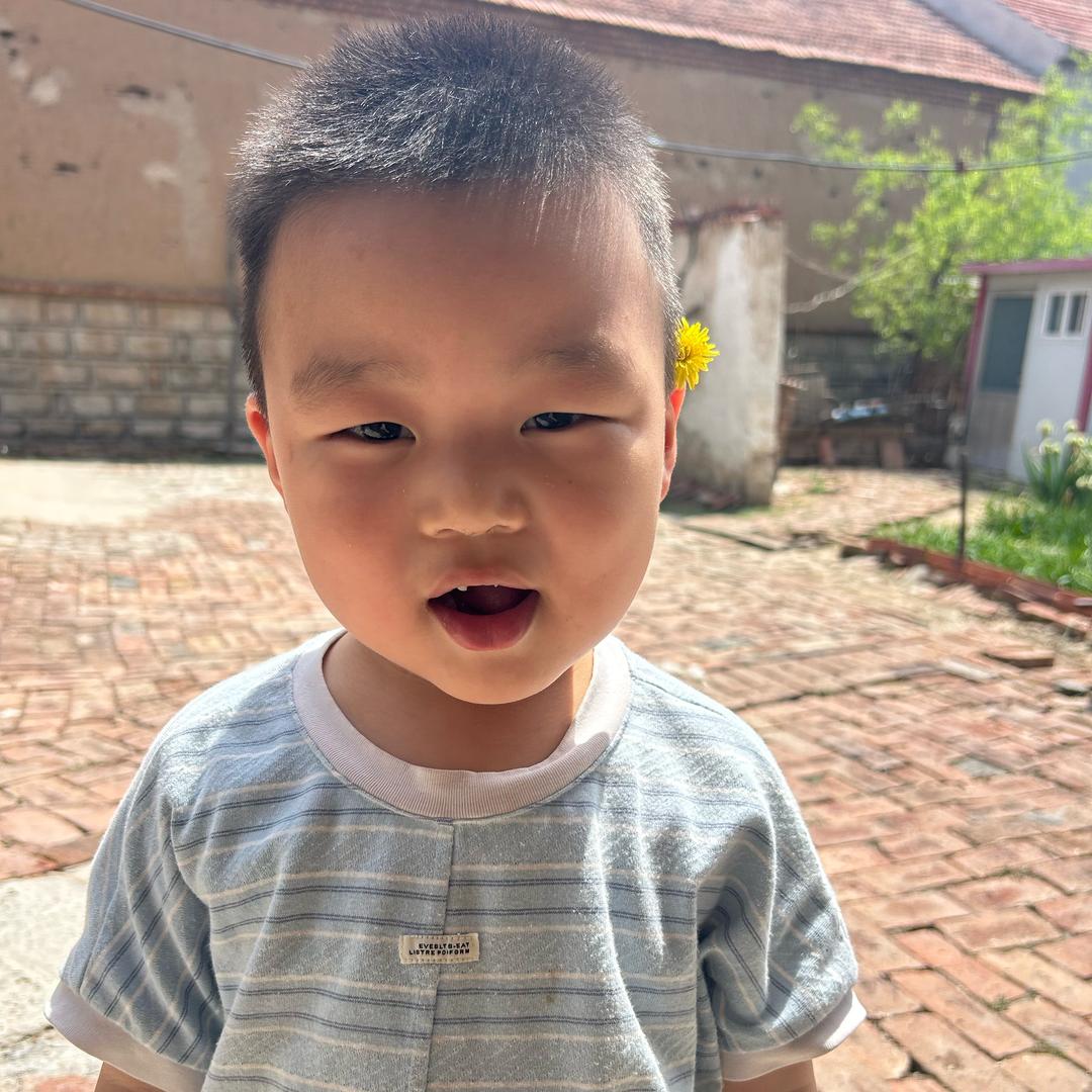 小橙的生活日记