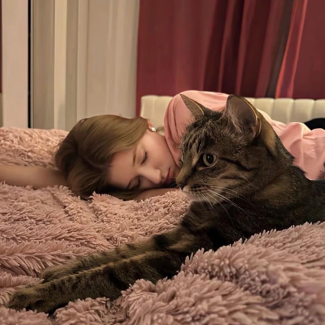 Vv（神人勿扰版