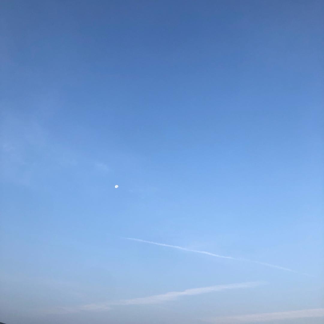 取悦自己