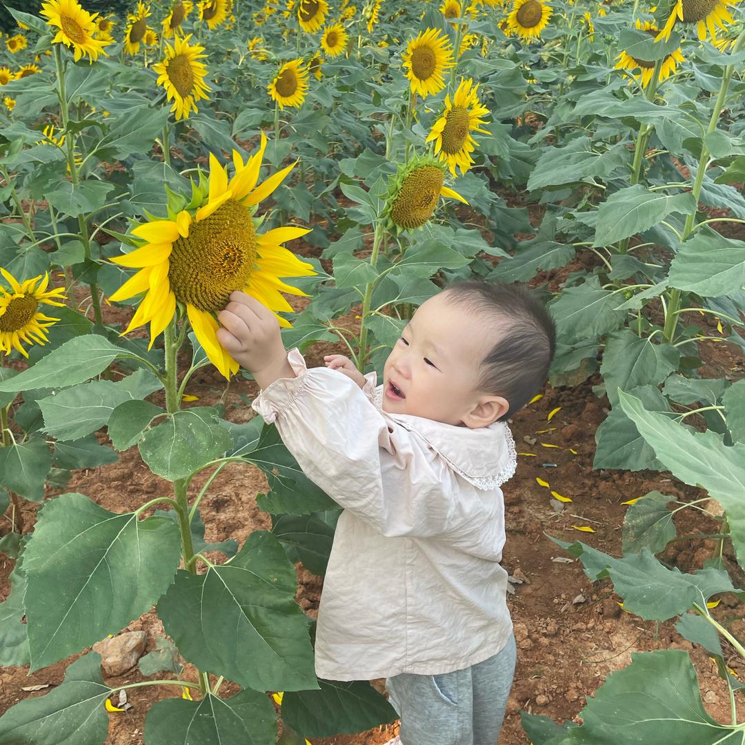 女人不毒何以立足?