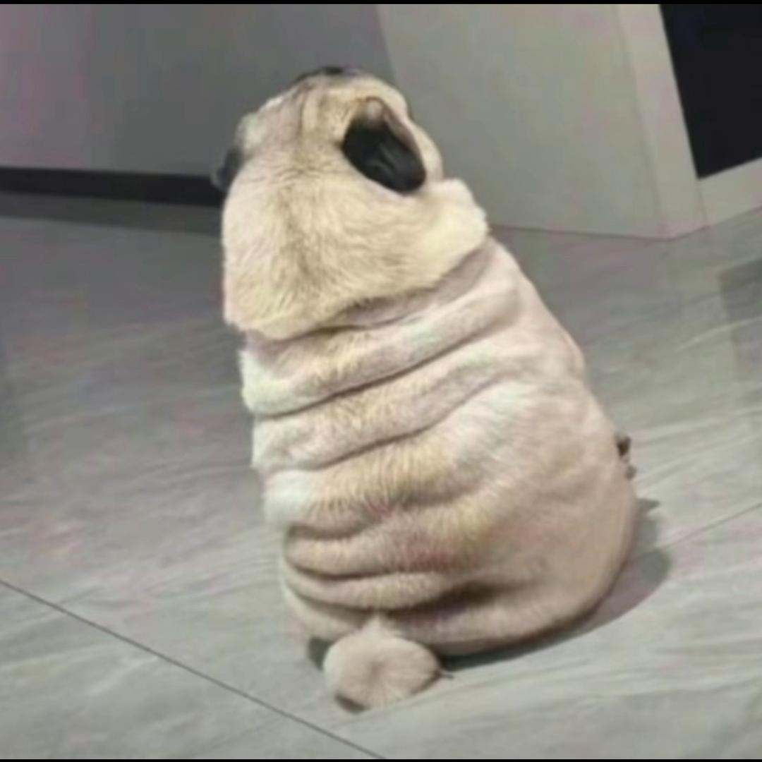悲伤土狗