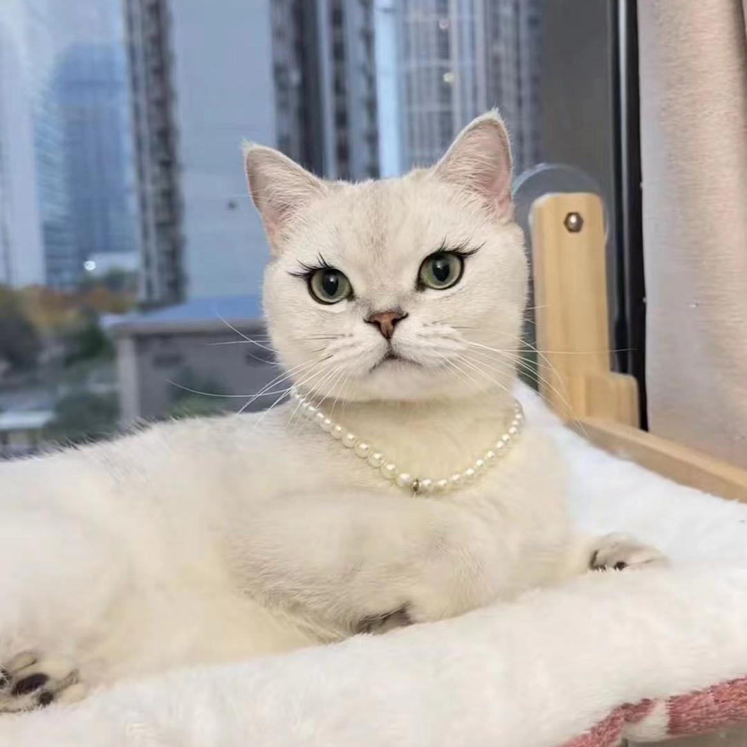 SANKRBO卡柏专卖店