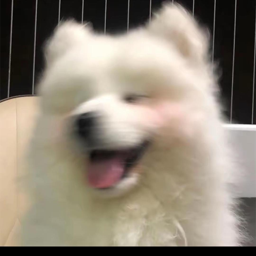 春秋好物