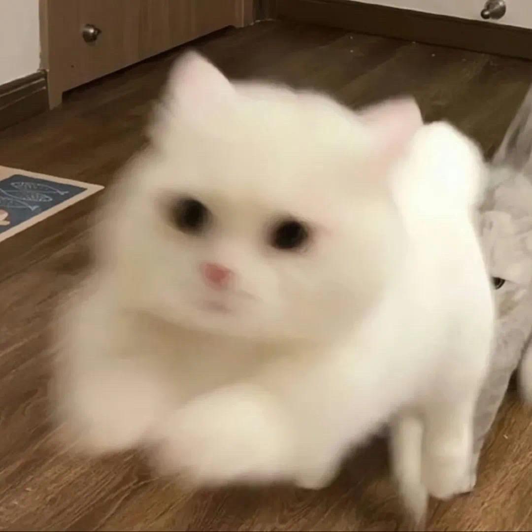 辣娇