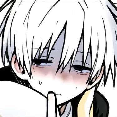 画不正