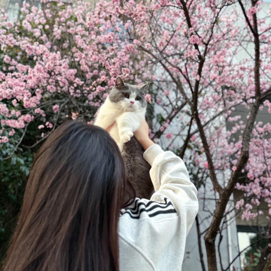 圆脸西西～