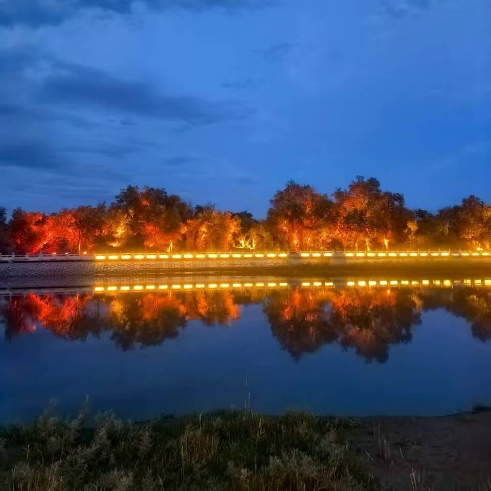 柠檬酸酸