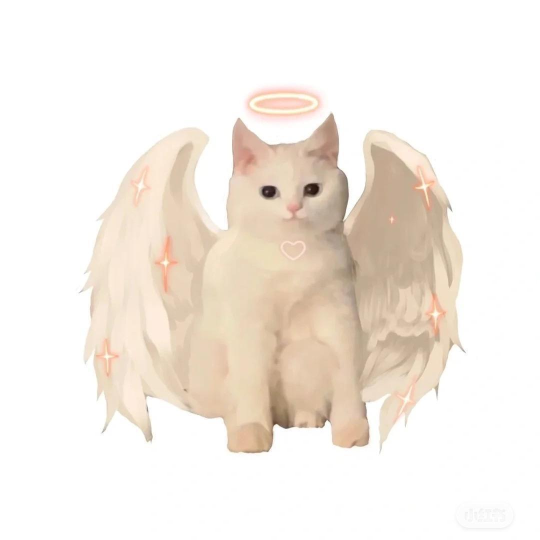 玥玥子