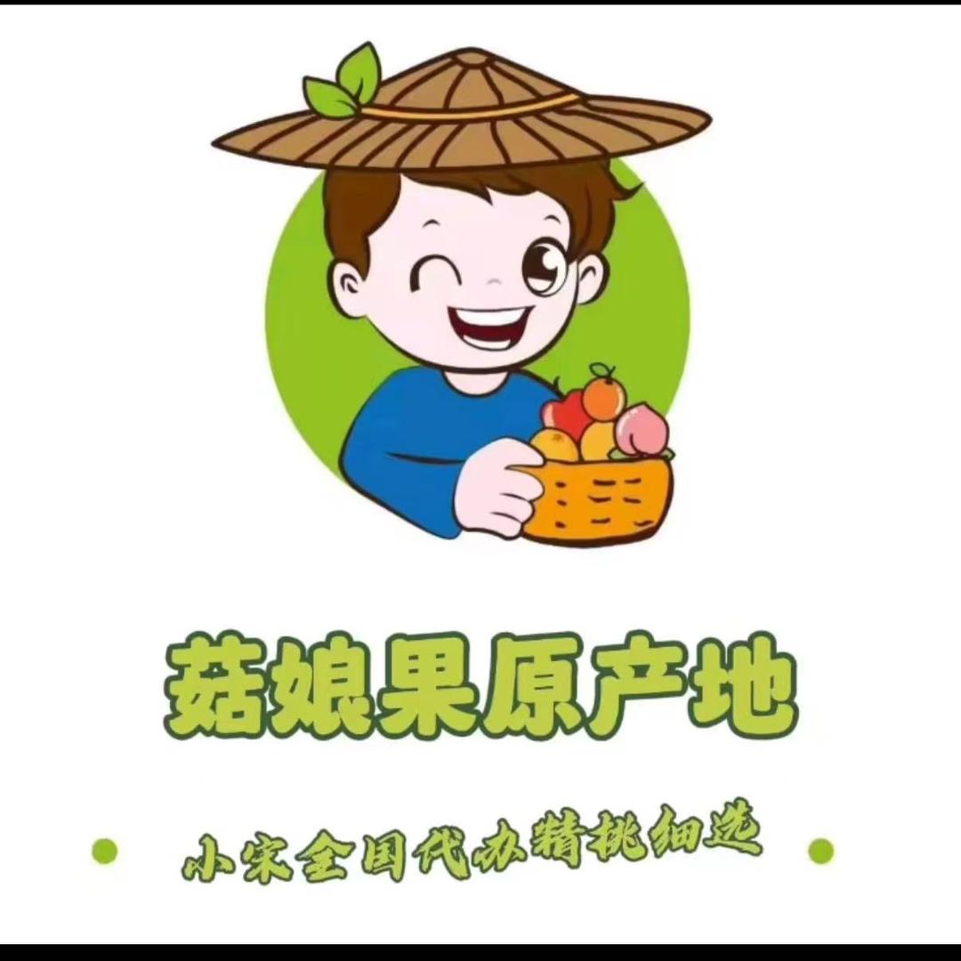 大安小宋菇娘果产地代办  🌱
