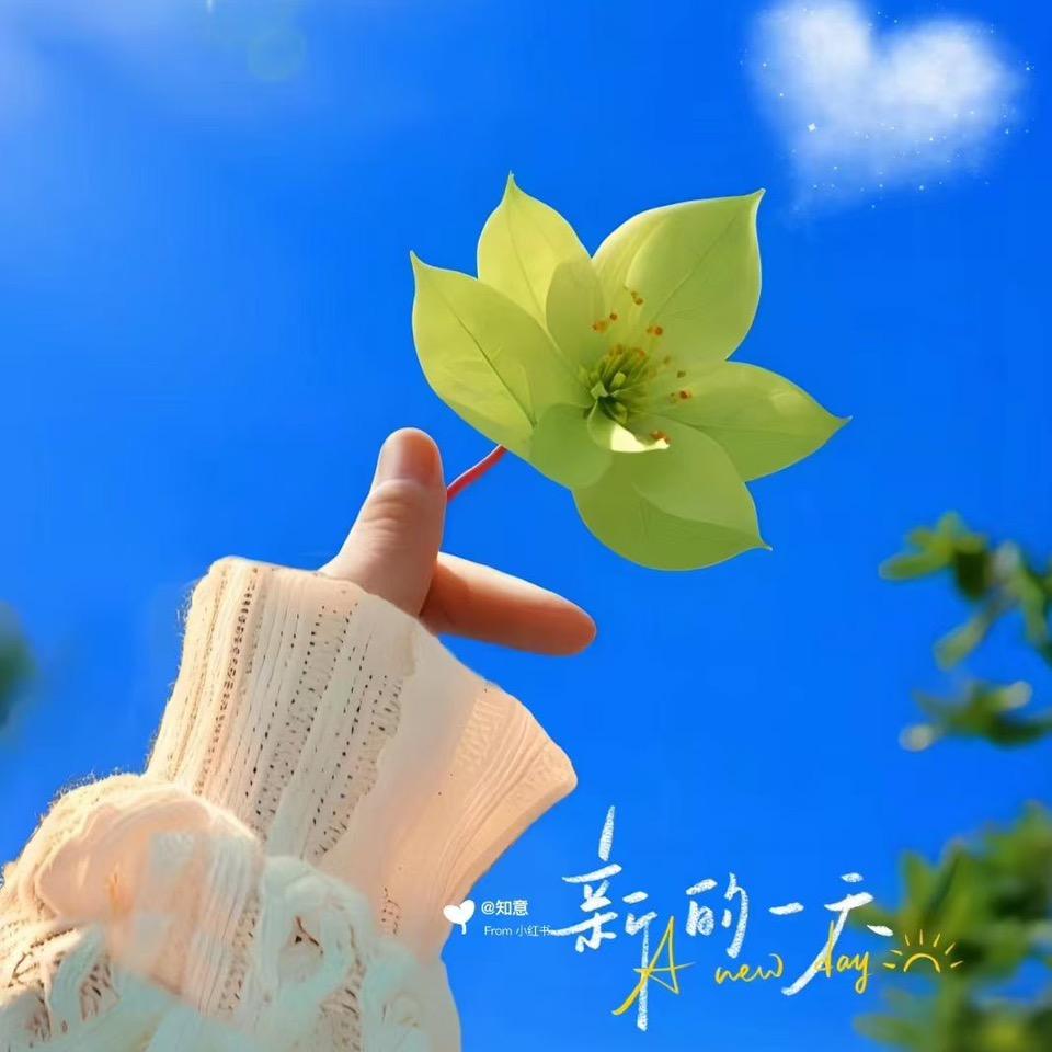 苇佳