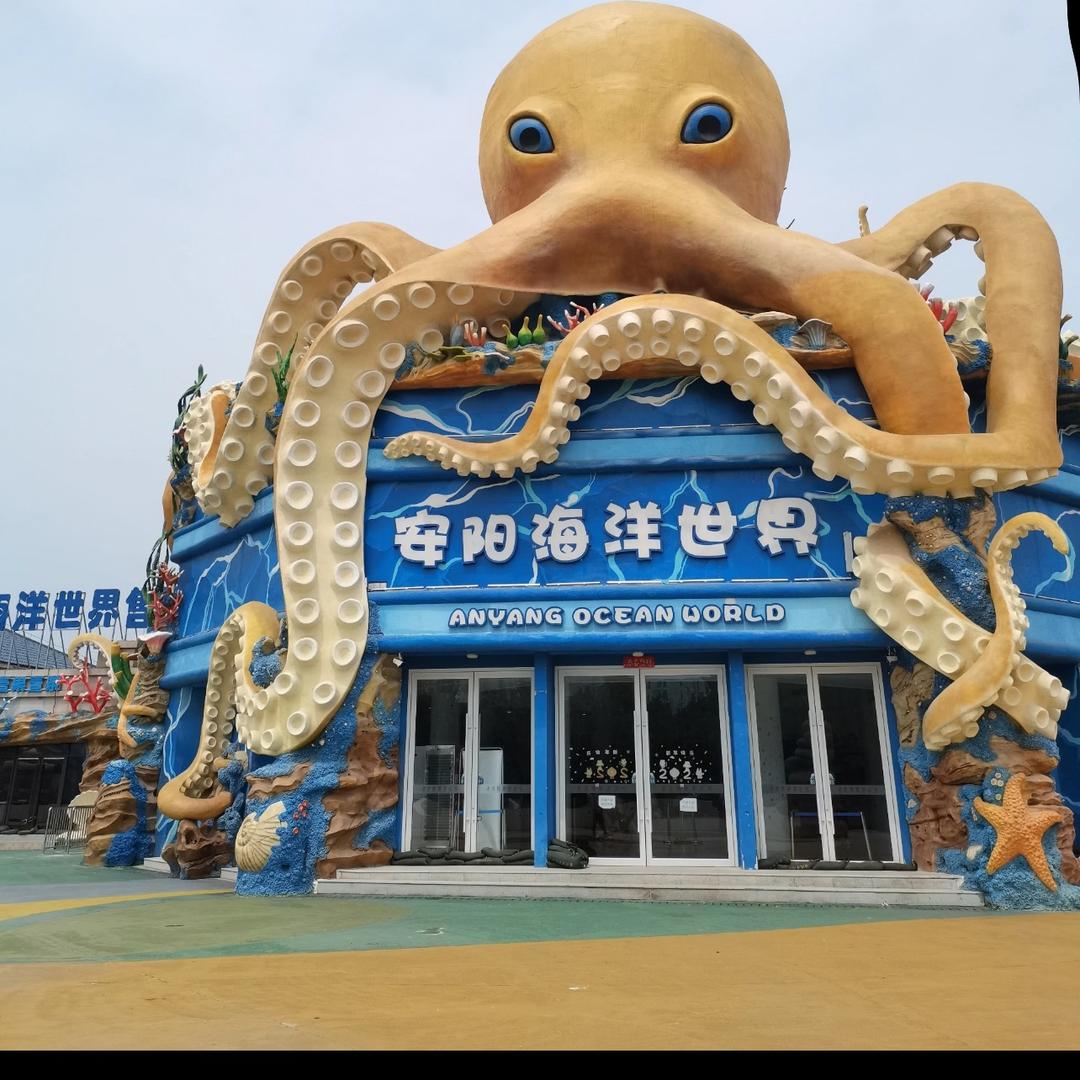 小迪在线环游记