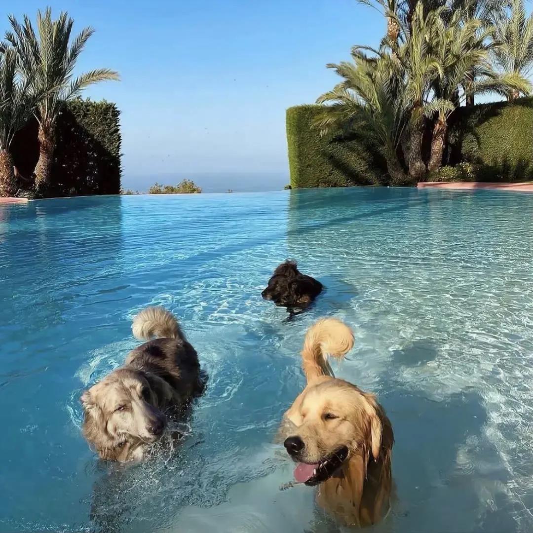 浙江最奶的龙🤓