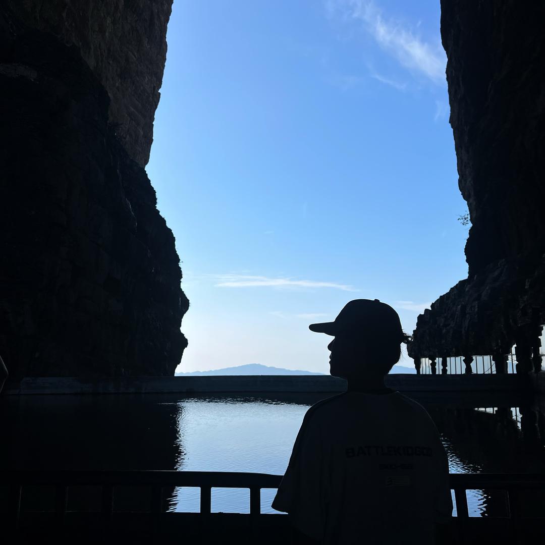 须尽欢