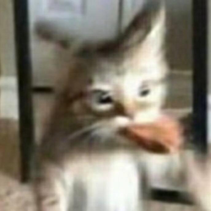 小y^
