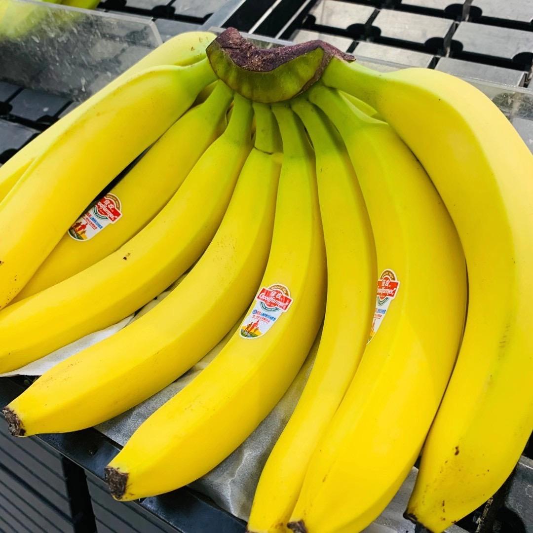 微山百果乐园水果批发