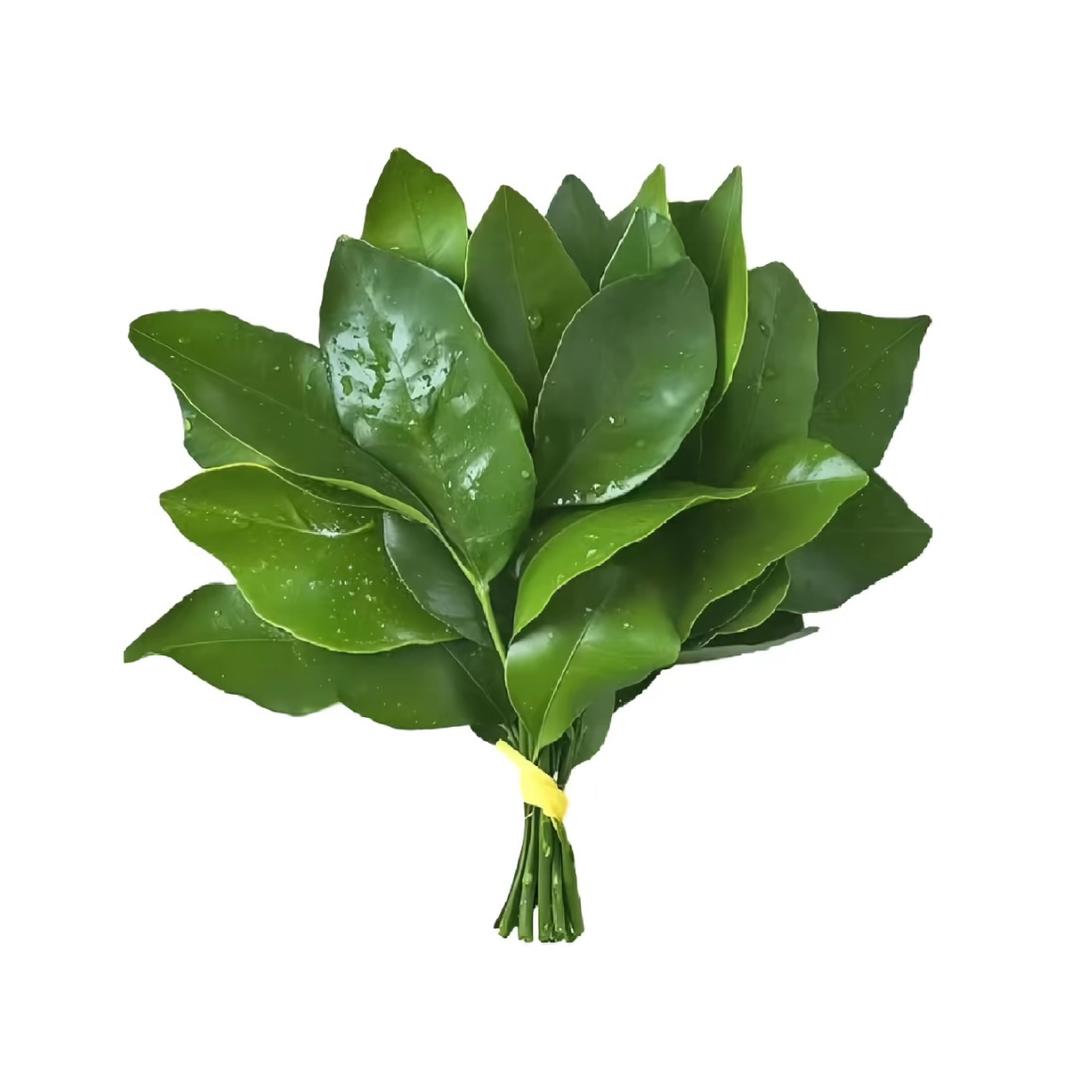 ʚ呆呆ɞ