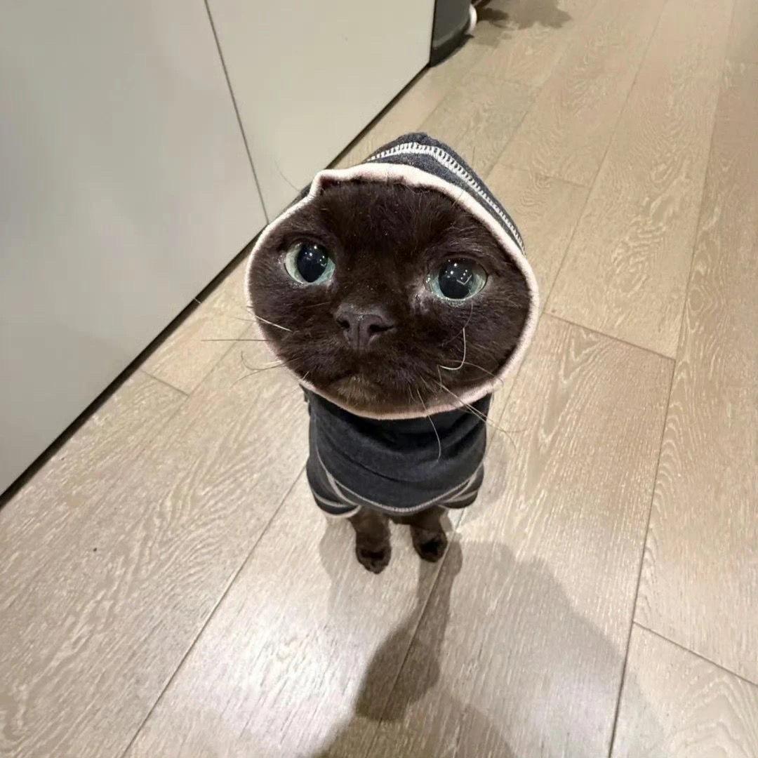 赴安上
