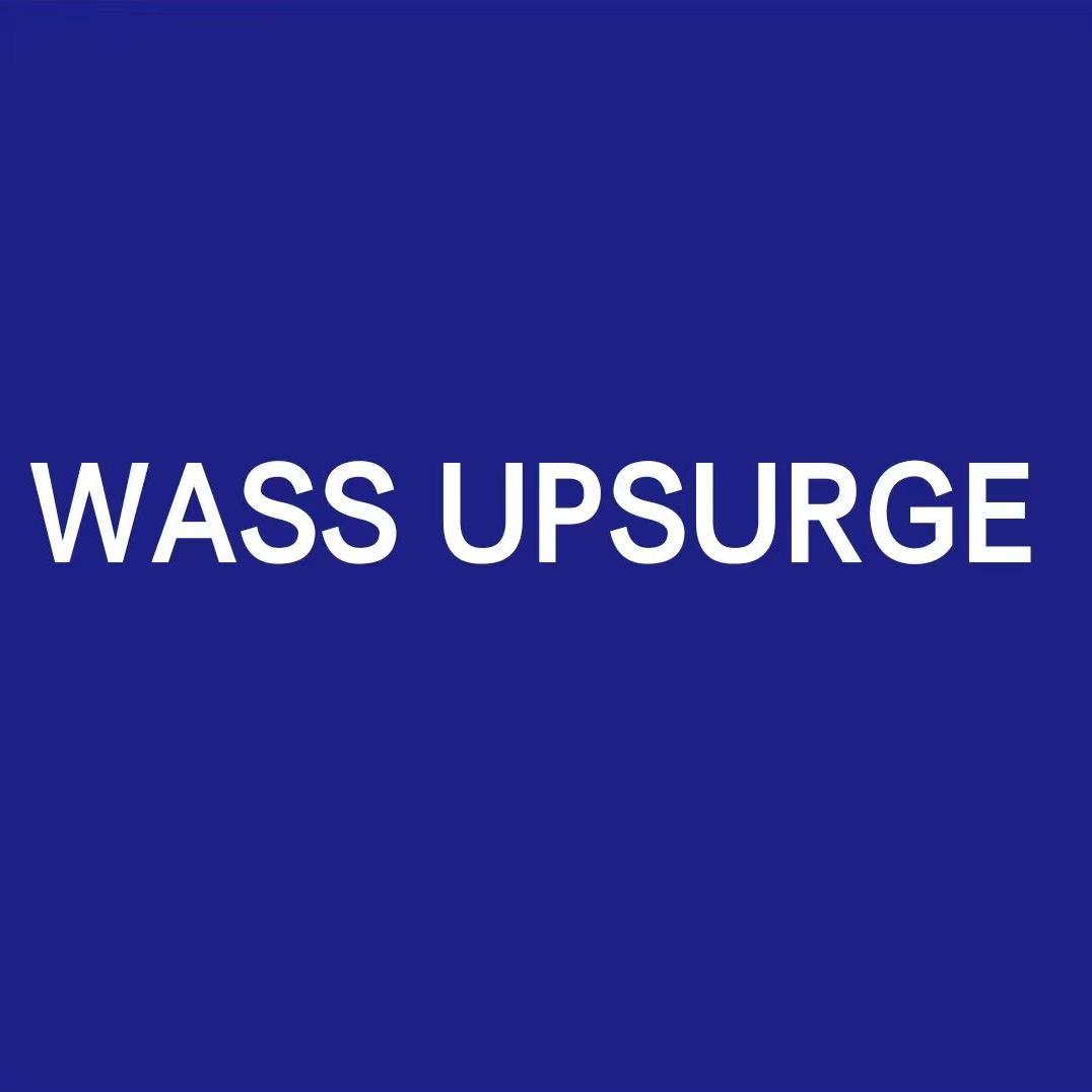 WASS UPSURGE甄选服饰