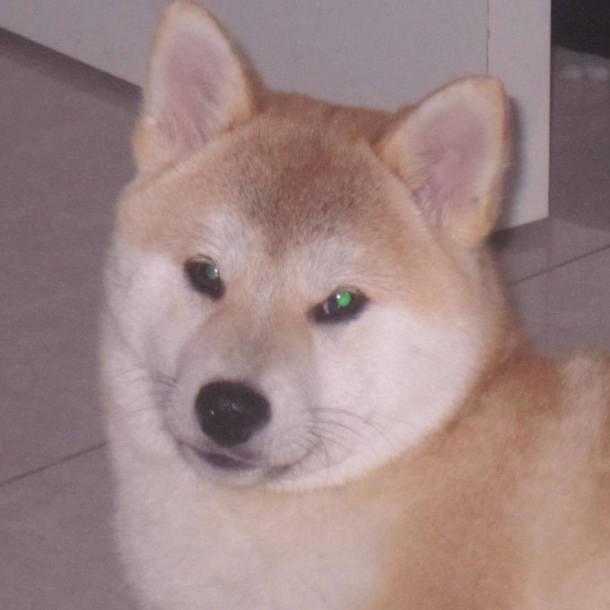 狡猾的麻辣香锅🫰