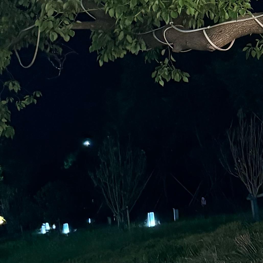 是米米呀