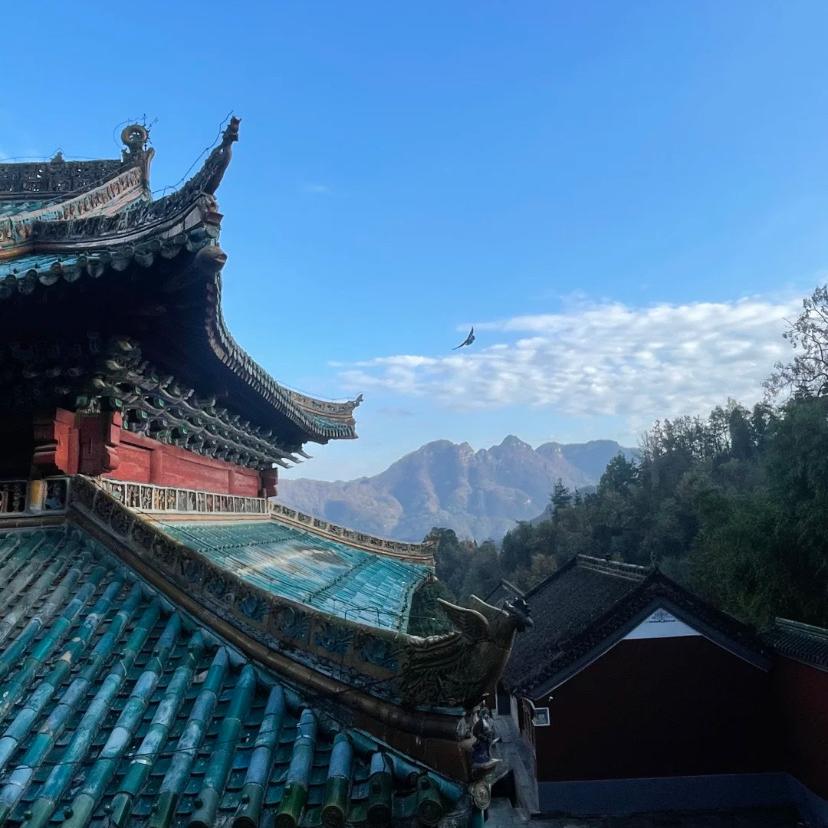 迪衫直播一号
