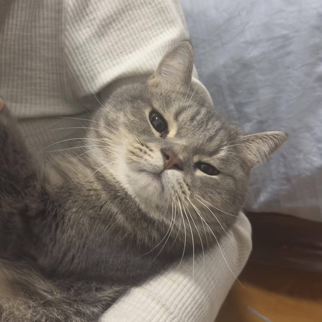 ♡远书大大的腿部挂件（腿腿）