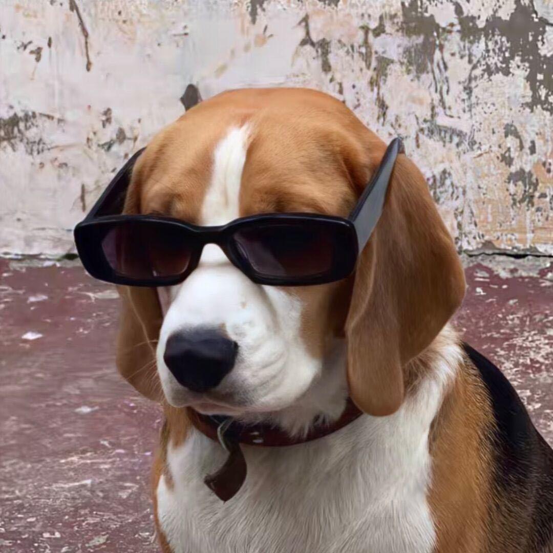 偷凹凸曼裤衩子