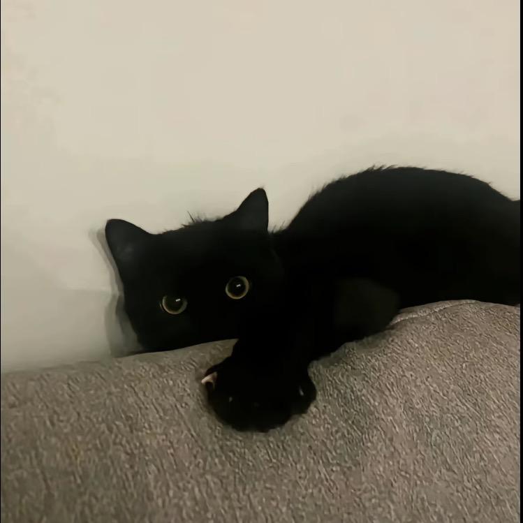 好好吃饭             🪳