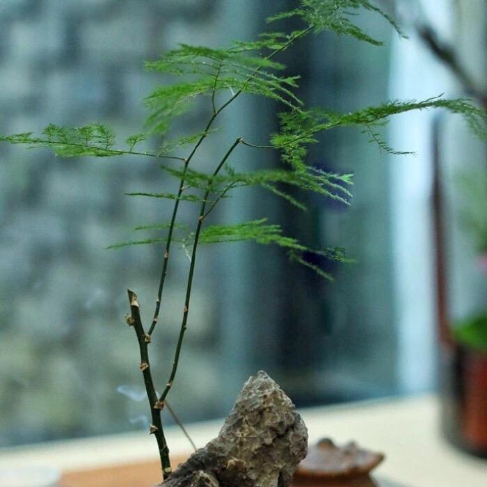 …<>望远<>