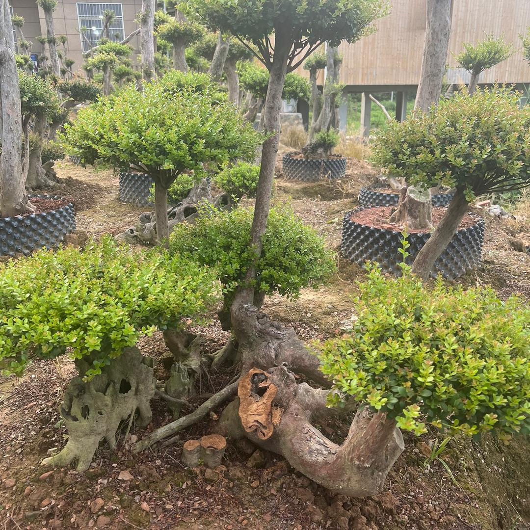 富贵险中求……