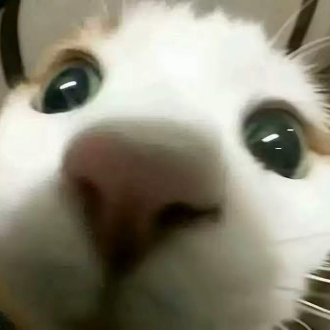 权