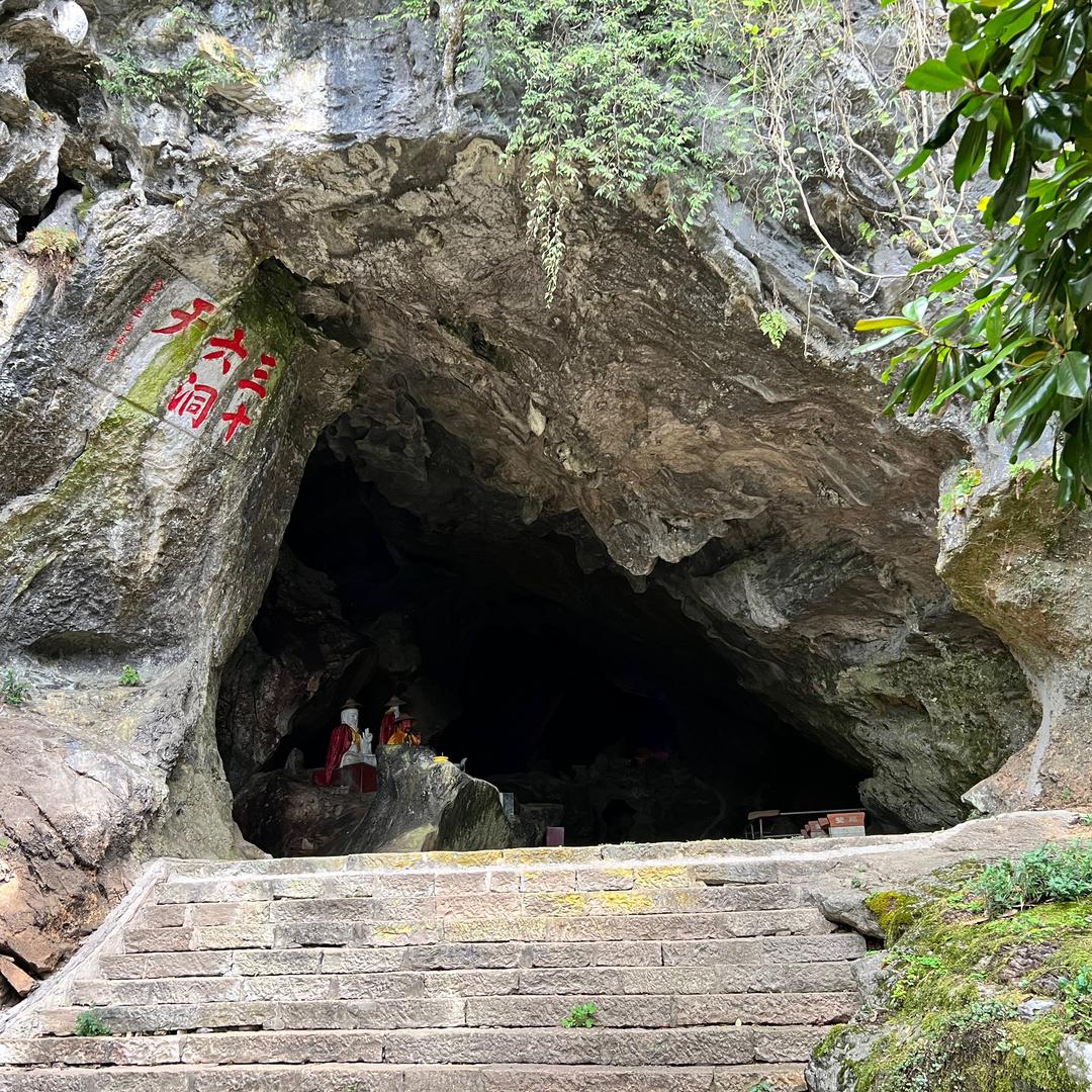 沙丘之龙