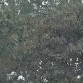 富贵双十一大促