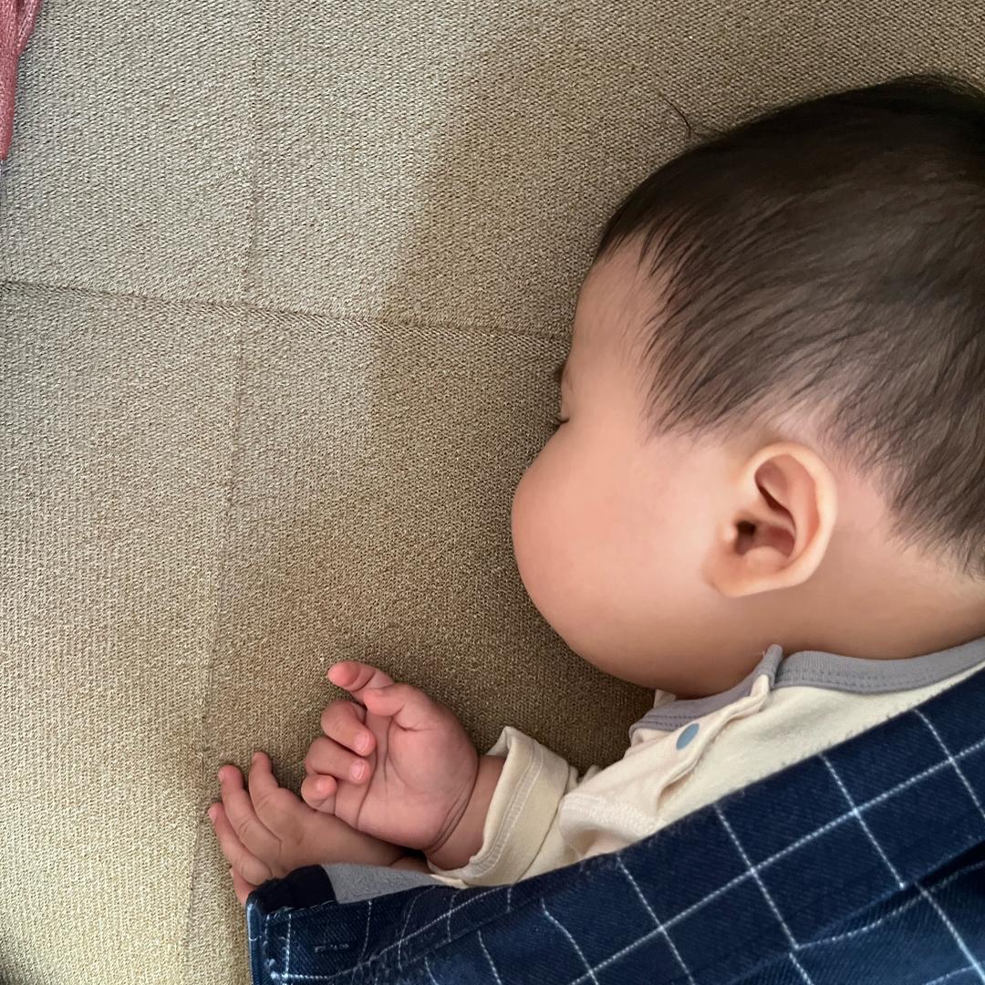 一颗开心果