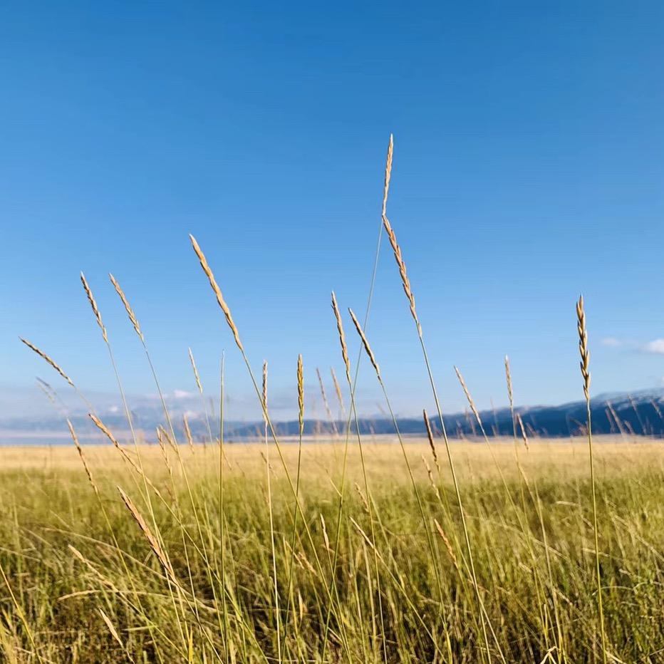 💞࿐🦋ꦿ໊一陆᭄🕊有你᭄ꦿᩚ٭