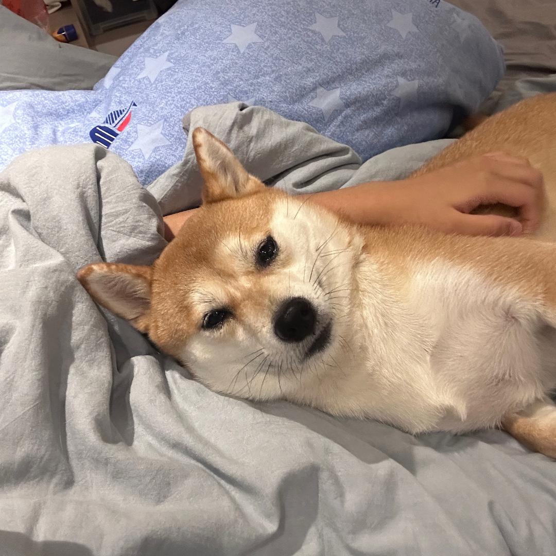Akiiii