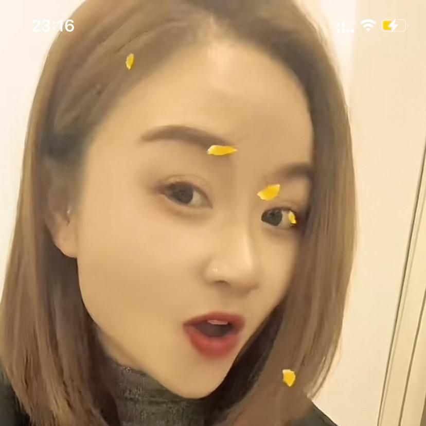燕子展翅高飞