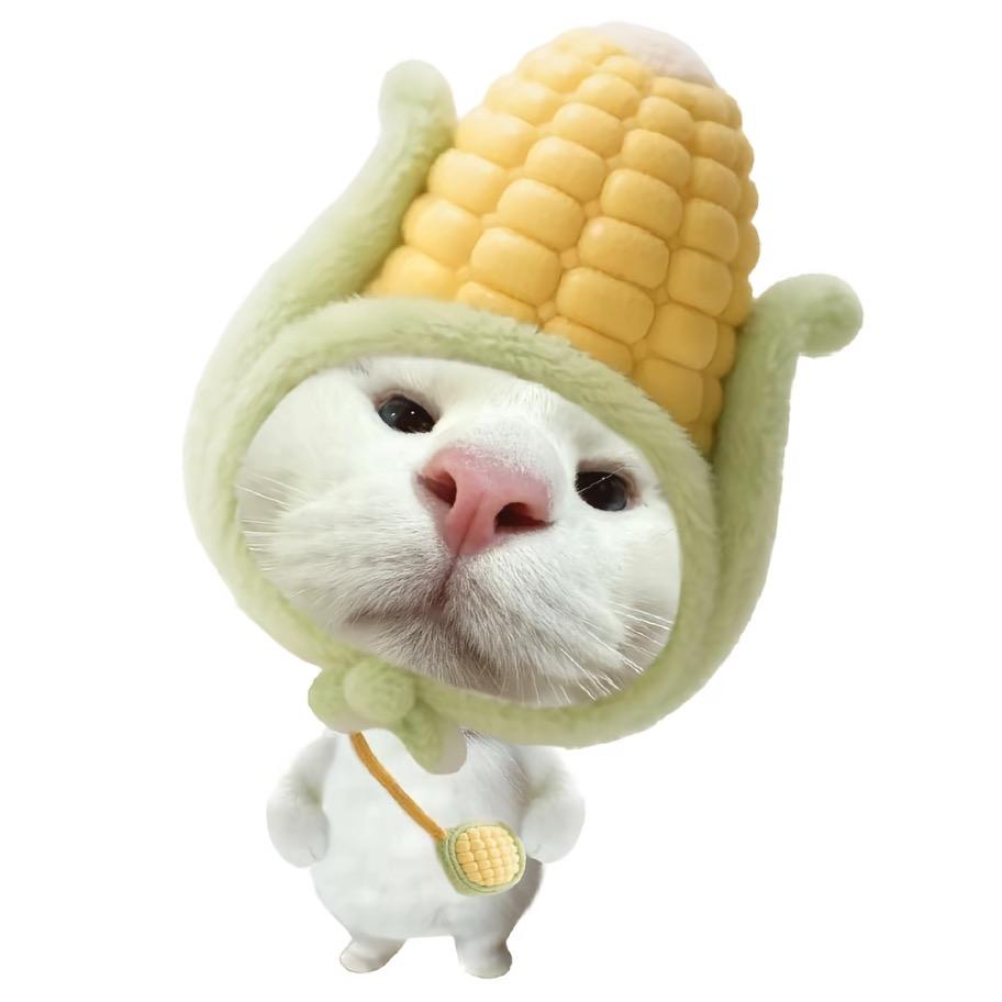 7 7