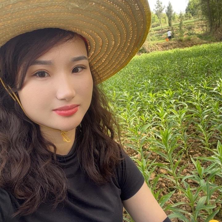 龙牙源产地隆回杨总