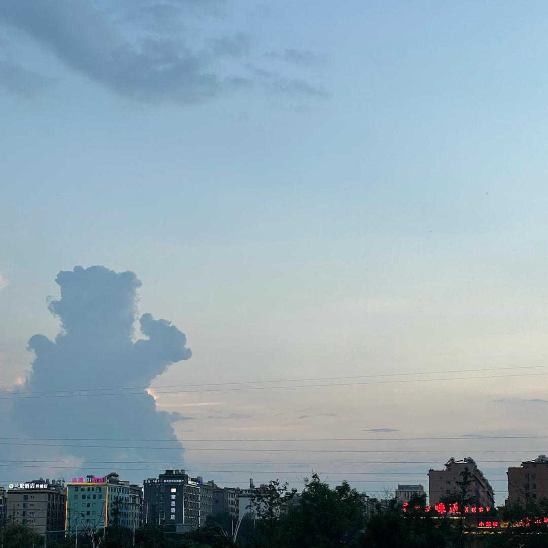 卢二狗🐶