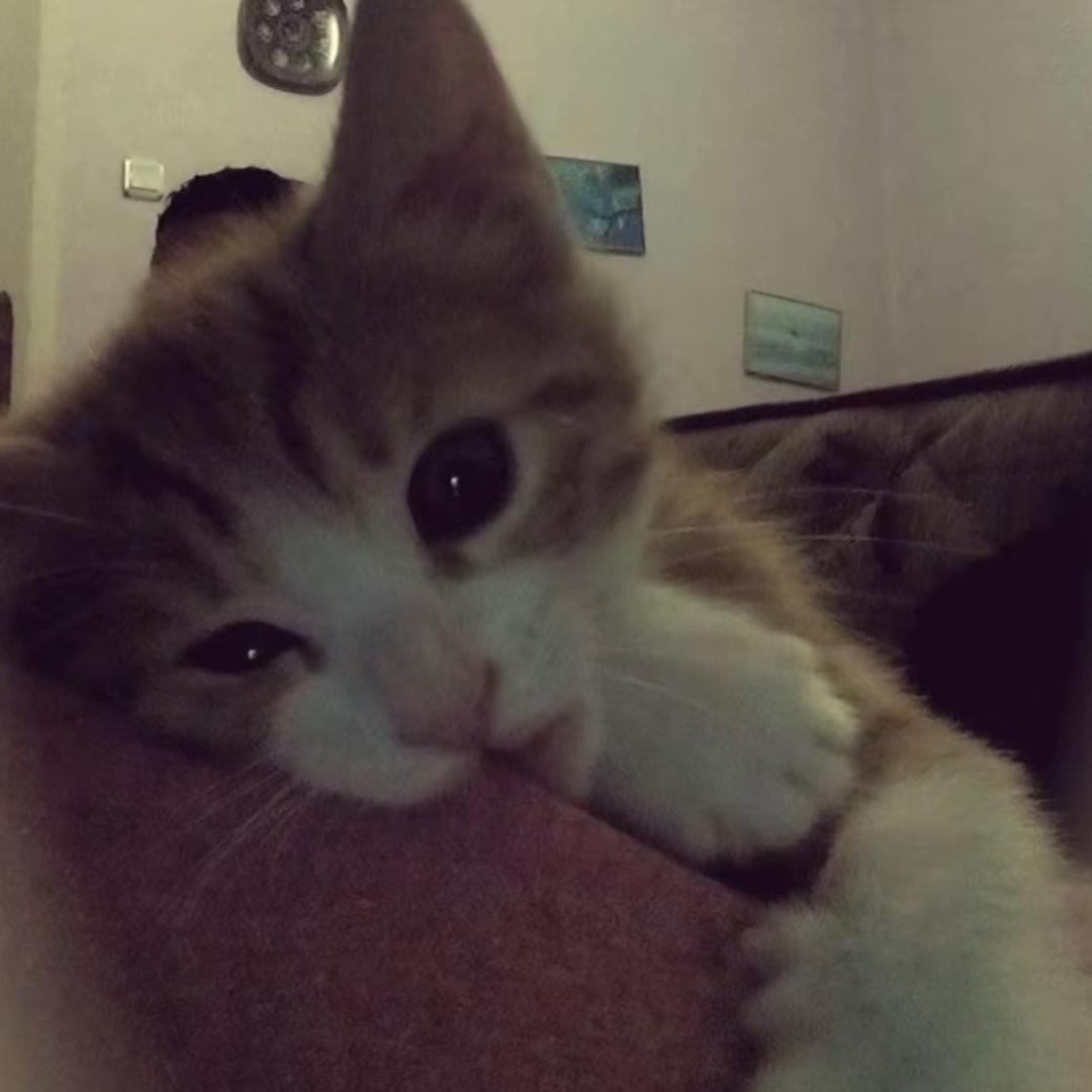 等于