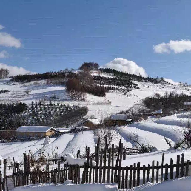 水   墨 .    雪