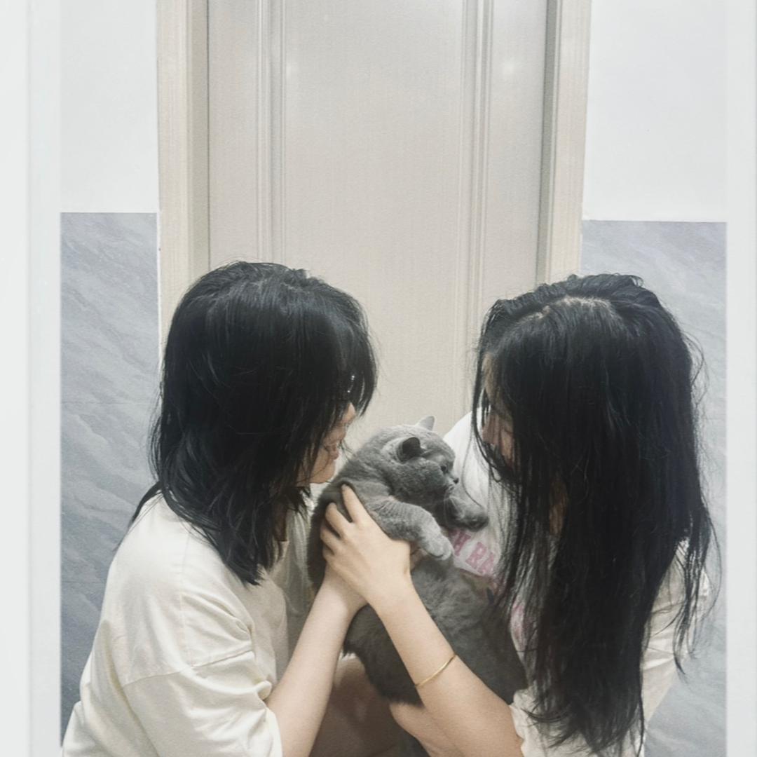 fortune猫老师