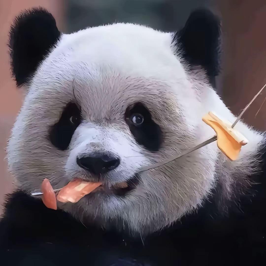 雾都滚不动¹²⁸⁴ ⁺ ¹²⁸⁵