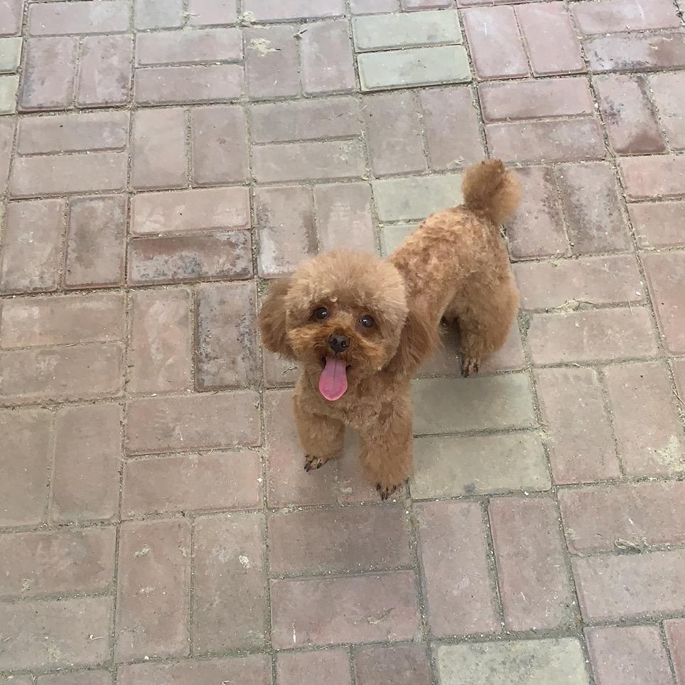 仙女不接受批评😶‍🌫️