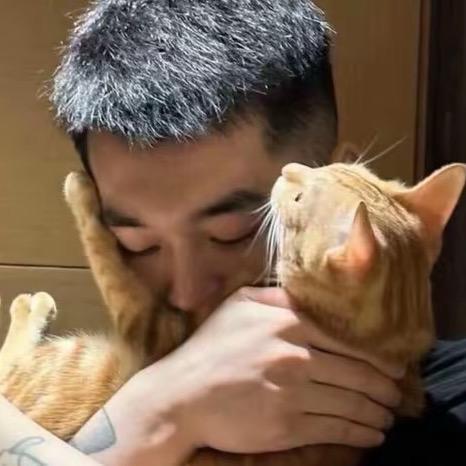 蚂蚁搬砖