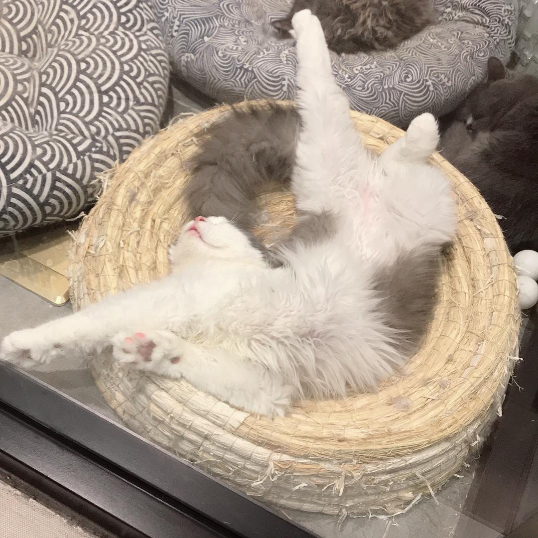 吃很柴很柴的肉