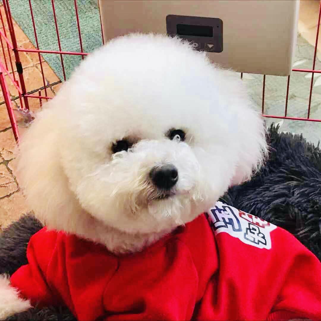 好好的