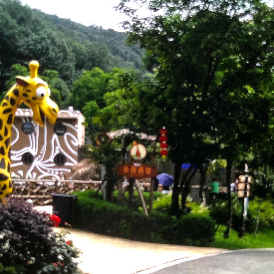 用户618928952443小雅